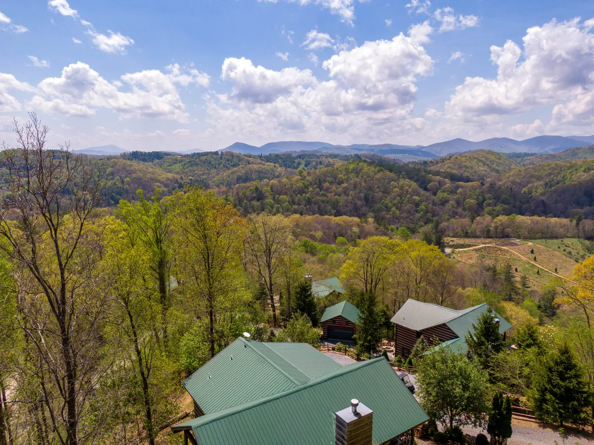 A sweeping view of lush green trees with a mountain range stretching into the distance under a cloudy sky. The landscape evokes tranquility and the vast natural beauty surrounding the property, perfect for those seeking outdoor adventure and scenic vistas.